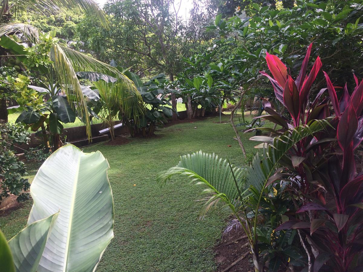 Hotel Sandpiper Jacó Extérieur photo